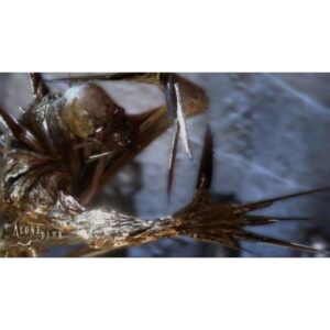 ALONE IN THE DARK (Xbox 360)